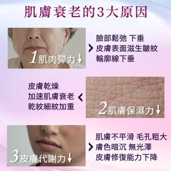【PP石墨烯】筋膜拉提棒
