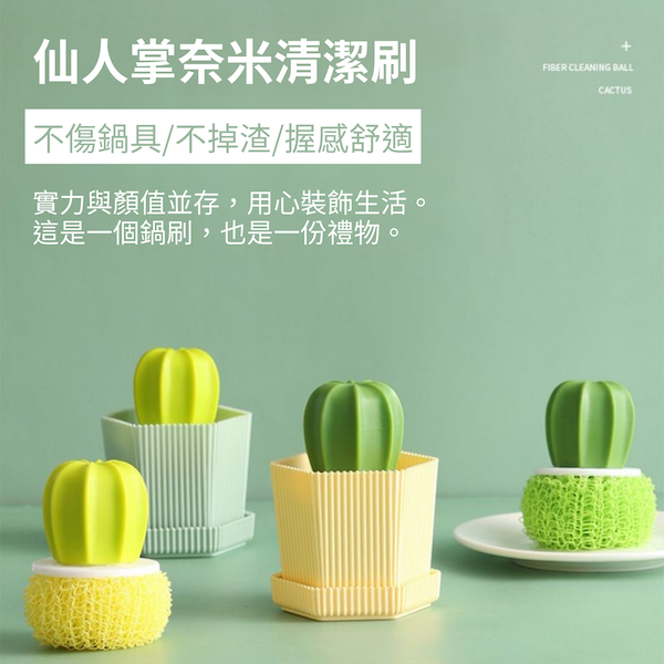 【amz嚴選】廚房小幫手_仙人掌清潔刷